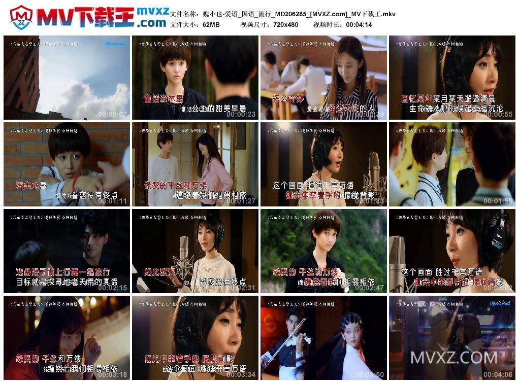 魏小也-爱语_国语_流行_MD206285